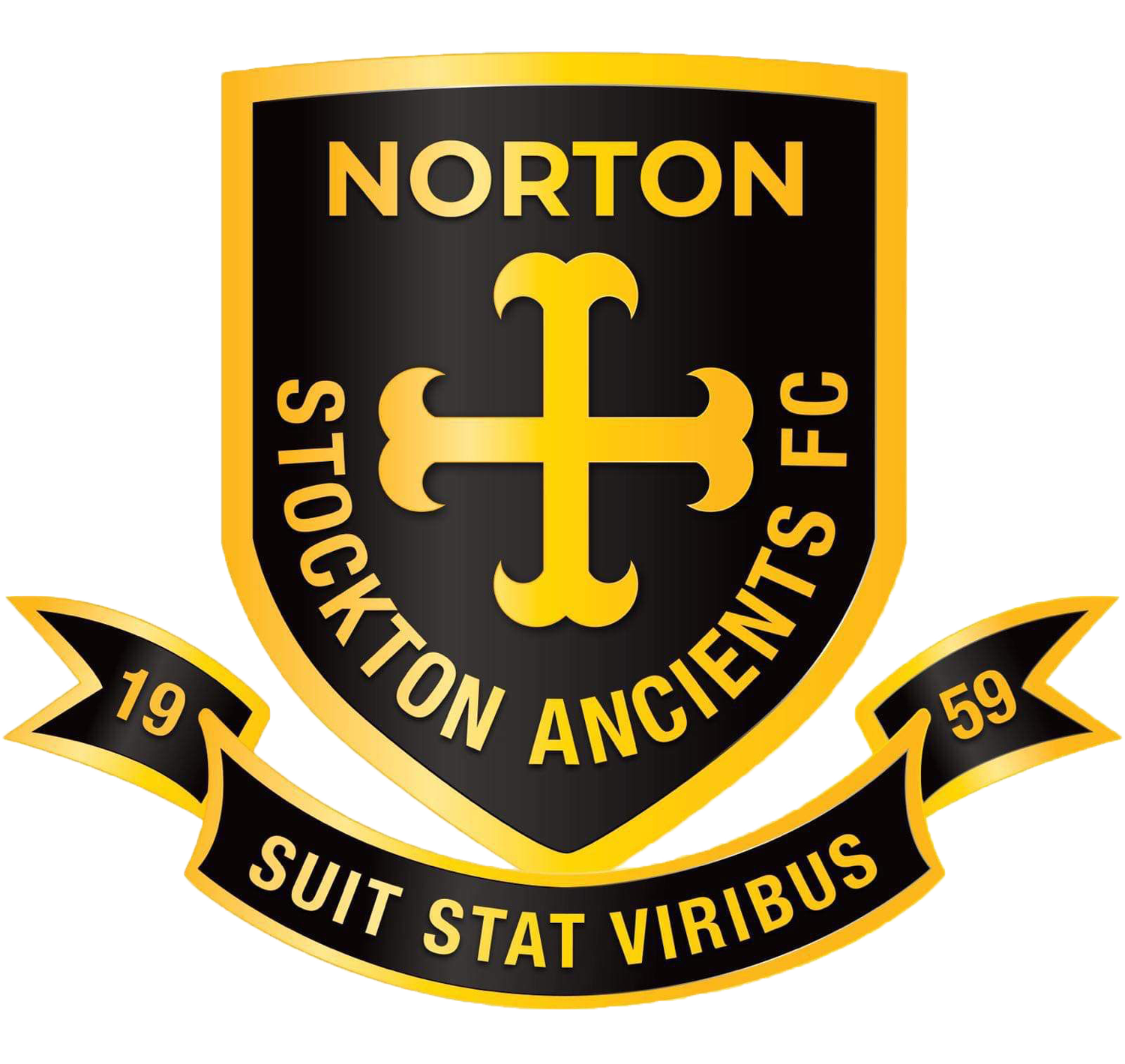 Norton & Stockton Ancients LFC Reserves